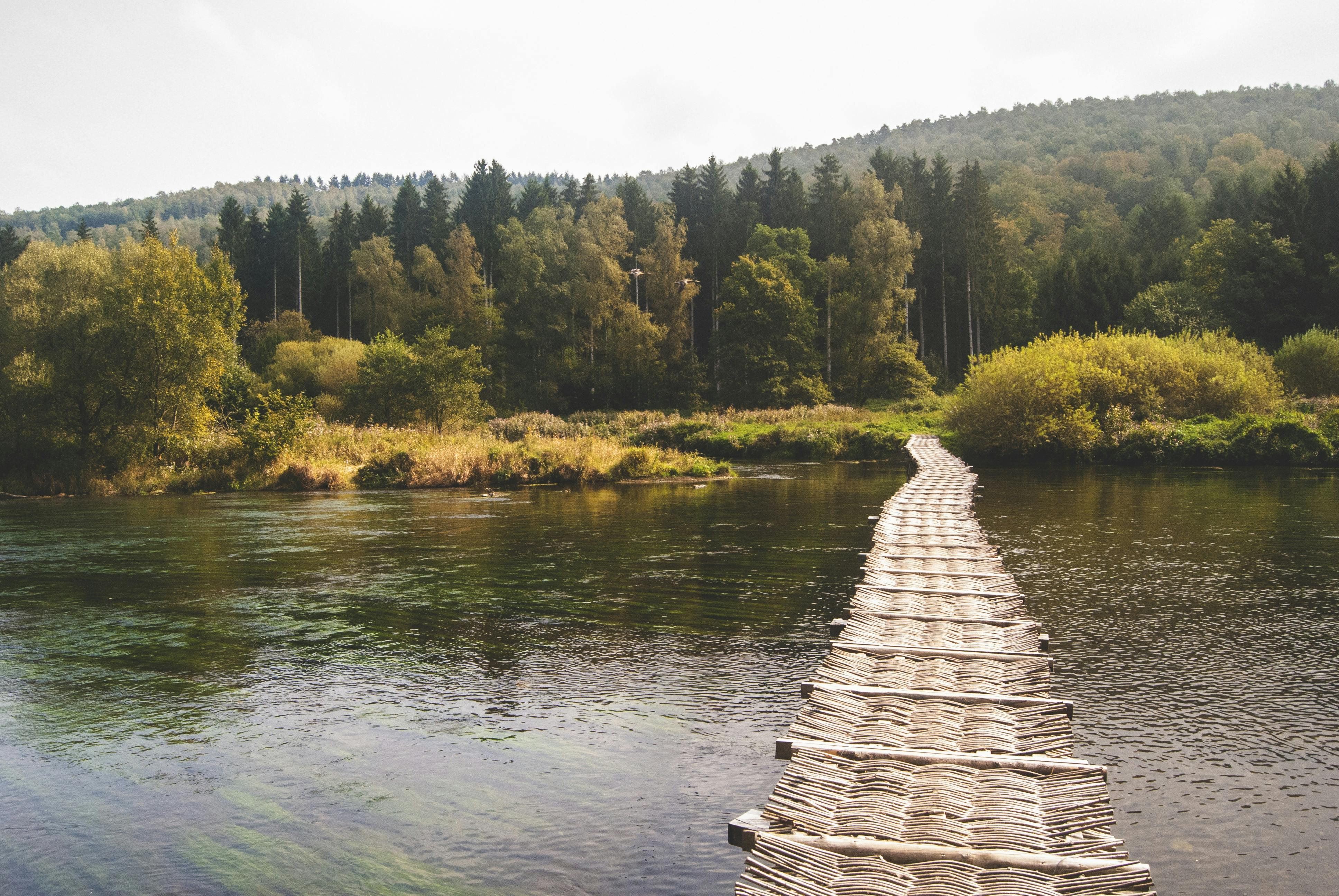 A bridge over water leading through a forested landscape — a bridge, not a destination